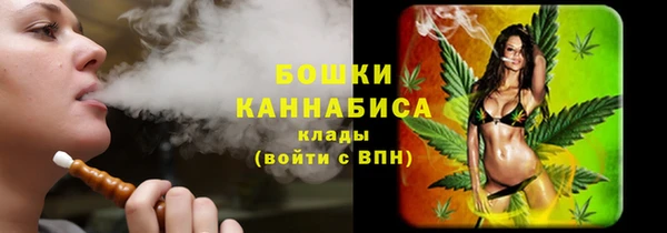 дмт Няндома
